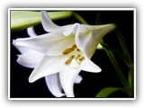 DSCF1251