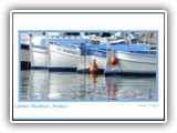 CannesHarbour