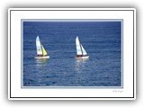 _DSC2001aa